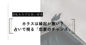 カラスは不吉じゃない？占いで視る「逆転のチャンス」を告げる使者