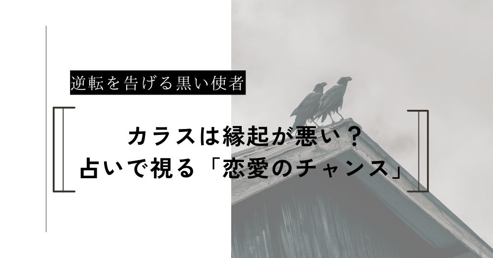 カラスは不吉じゃない？占いで視る「逆転のチャンス」を告げる使者
